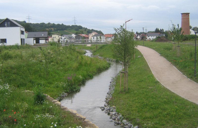 Gewässerbegleitende Maßnahmen, Bereich „Märzwiesen“, Ortslage 69231 Rauenberg